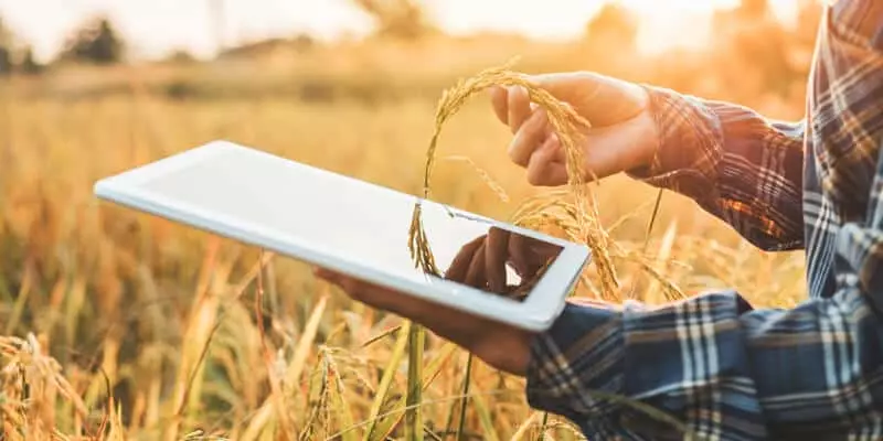 Como se preparar para o futuro da alimentação mundial e ter bons resultados?